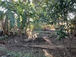 Land for Sale Ja Ela