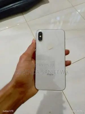 Apple iPhone X 256GB (Used)