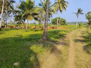 Land for Sale in Anuradhapura Nachchaduwa Road