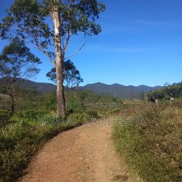 Tea Land with Bungalow for Sale Hewaheta Kandy