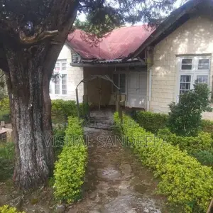 Tea Land with Bungalow for Sale Hewaheta Kandy