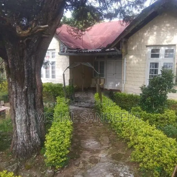 Tea Land with Bungalow for Sale Hewaheta Kandy