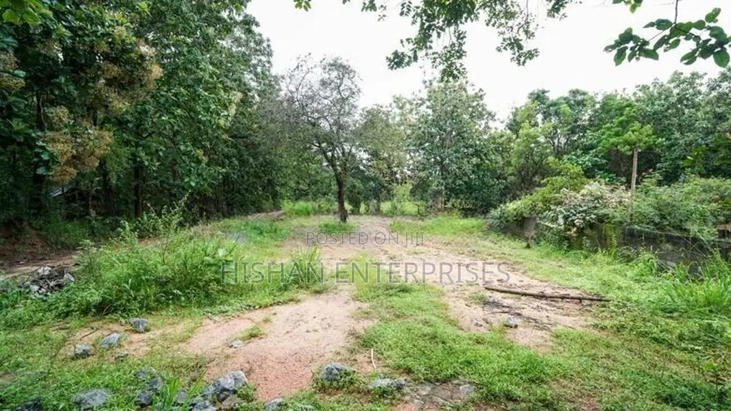 Prime Commercial Land for Sale in Sigiriya Facing Dambulla Habarana Ro