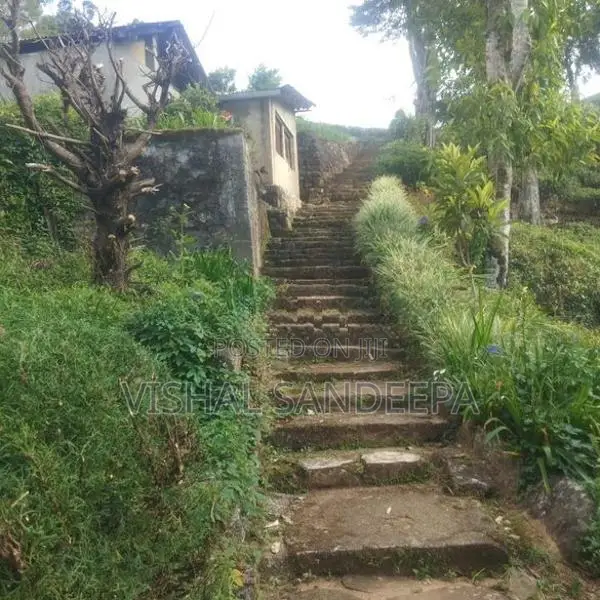 Tea Land with Bungalow for Sale Hewaheta Kandy