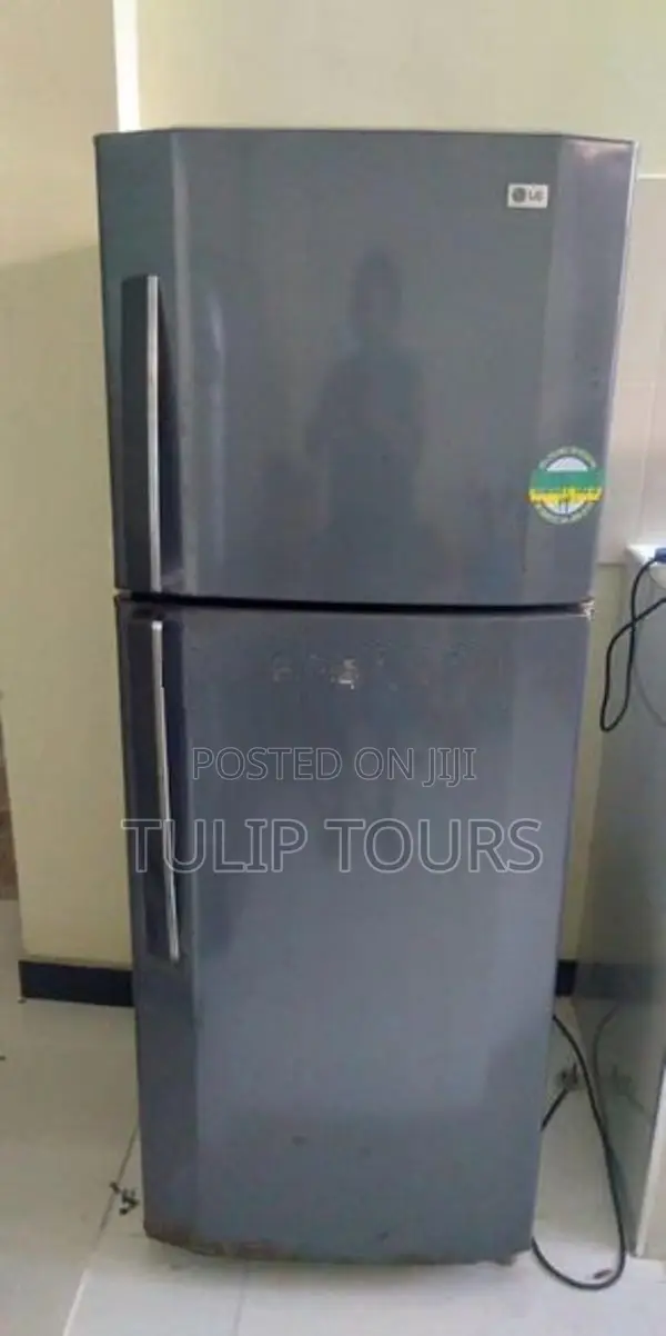 LG Fridge - 230L