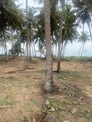 On The Beech Land For Sale Kahadamodara