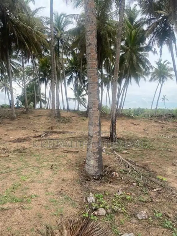 On The Beech Land For Sale Kahadamodara