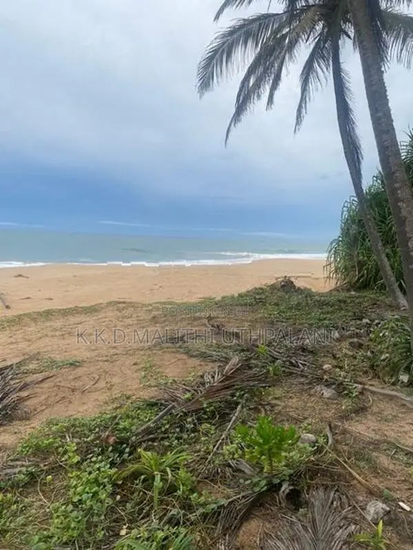 On The Beech Land For Sale Kahadamodara