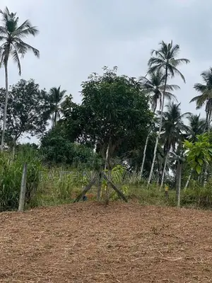 Land for Sale in Nittambuwa