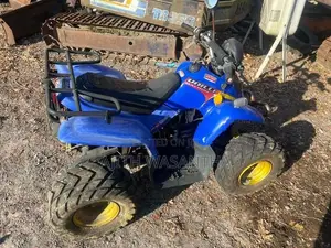 Honda ATV Quadricycle 2005