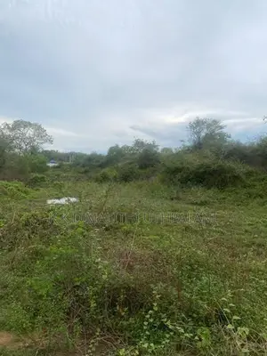 10 Perch Land For Sale Beliaththa