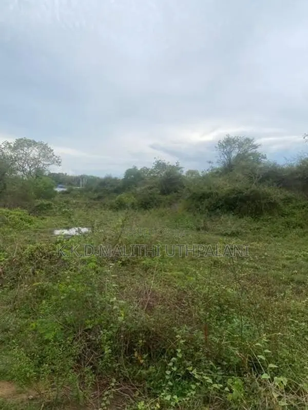 10 Perch Land For Sale Beliaththa
