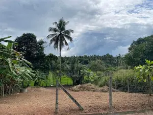 Land for Sale in Nittambuwa