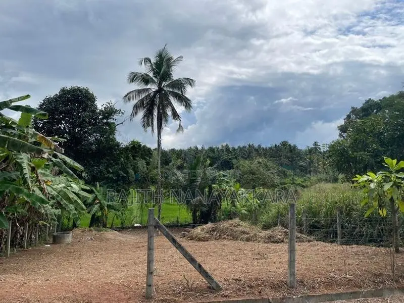Land for Sale in Nittambuwa