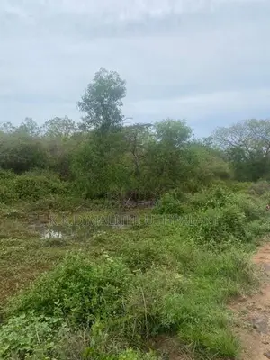 10 Perch Land For Sale Beliaththa