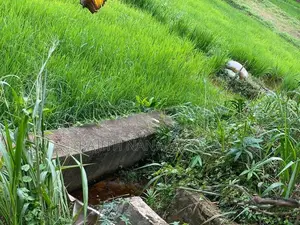 Land for Sale in Nittambuwa