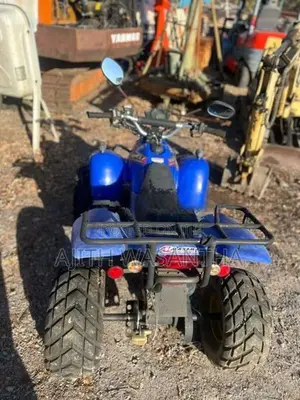 Honda ATV Quadricycle 2005