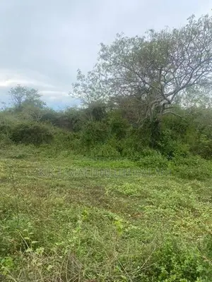 10 Perch Land For Sale Beliaththa