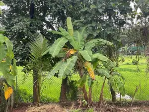 Land for Sale in Nittambuwa