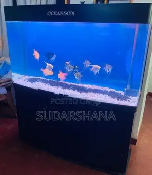 Fish Tank