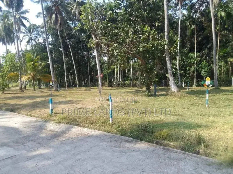 නයිවල,දෙවොලපොල ඉඩමක් විකිණීමට