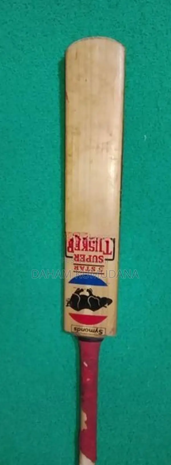 Cricket bat