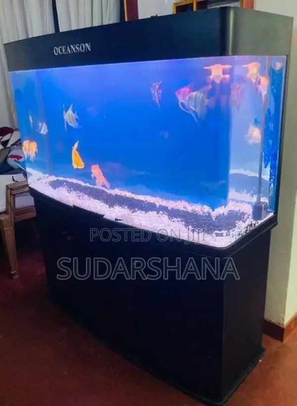 Fish Tank