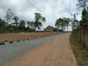 Best Land for Sale in Walipenna
