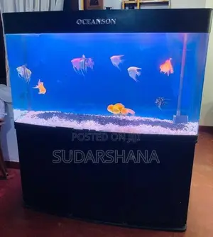 Fish Tank
