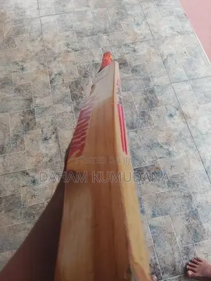 Cricket bat