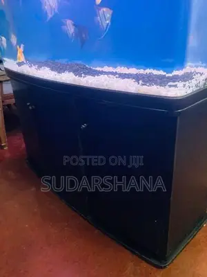 Fish Tank