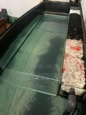 Fish Tank