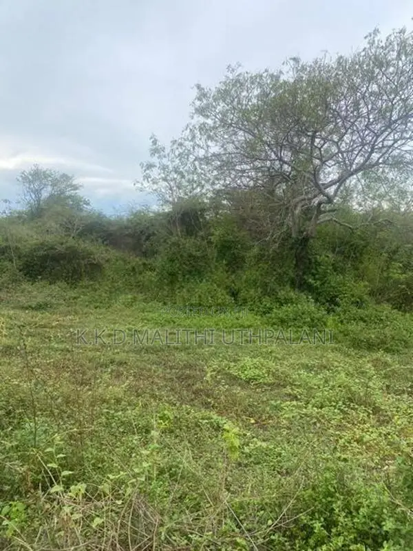 Land For Sale Hakmana