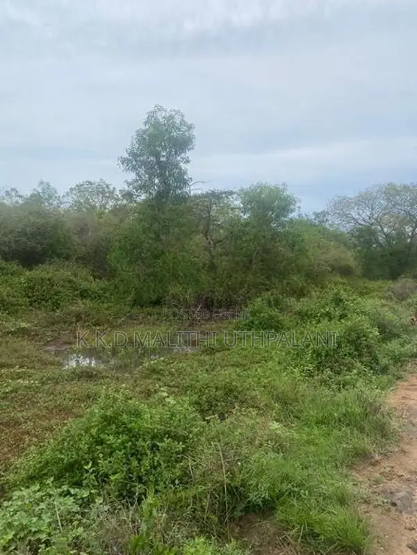 Land For Sale Hakmana