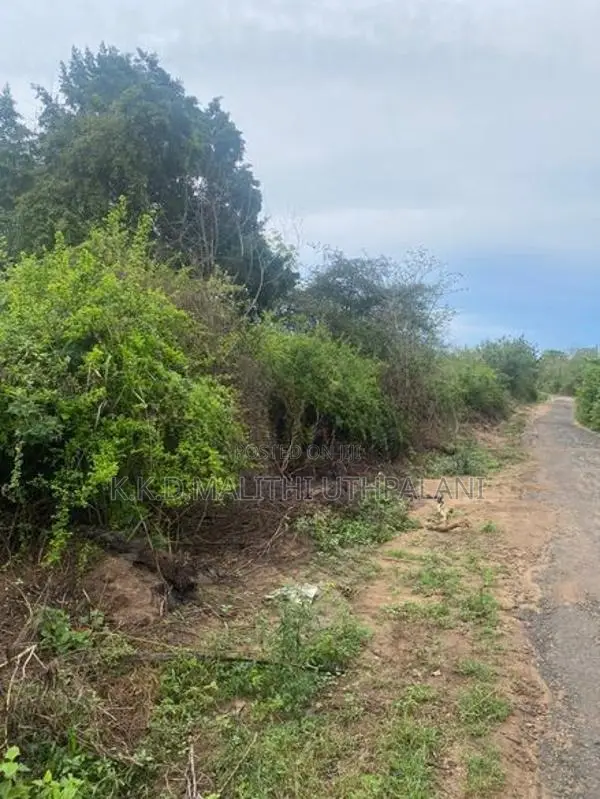 Land For Sale Hakmana