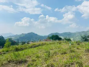Lands for sale in Pussellawa