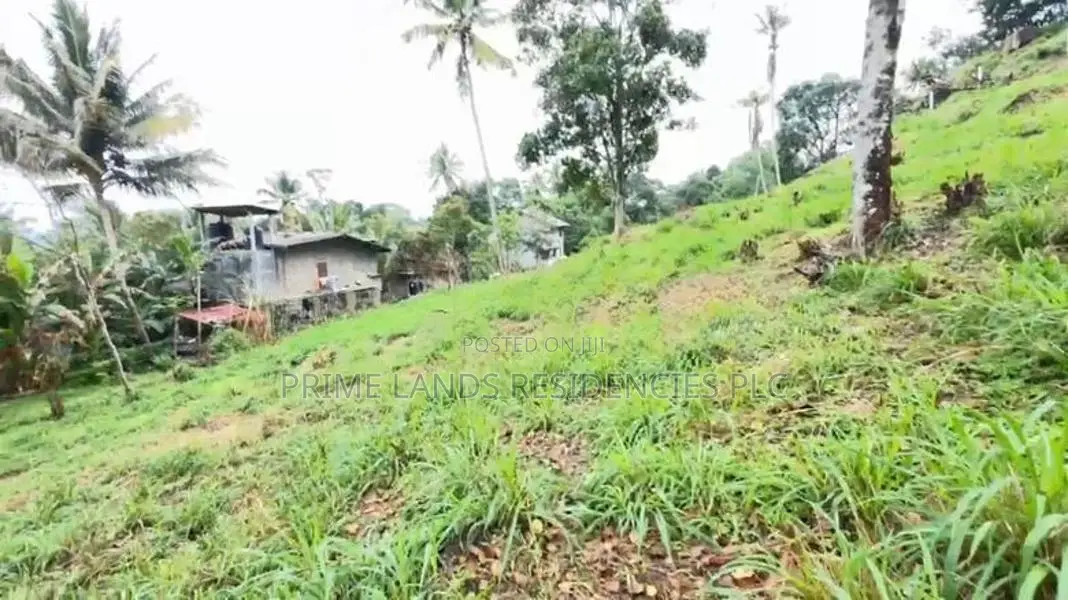Lands for sale in Gurudeniya