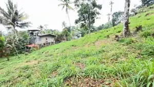 Lands for sale in Gurudeniya