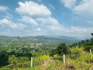 Lands for sale in Pussellawa