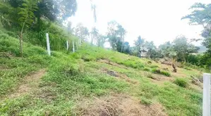 Lands for sale in Gurudeniya