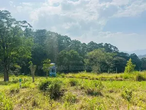 Lands for sale in Pussellawa