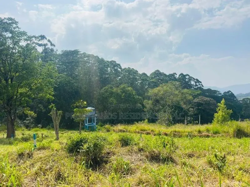 Lands for sale in Pussellawa
