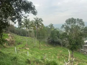 Lands for sale in Gurudeniya