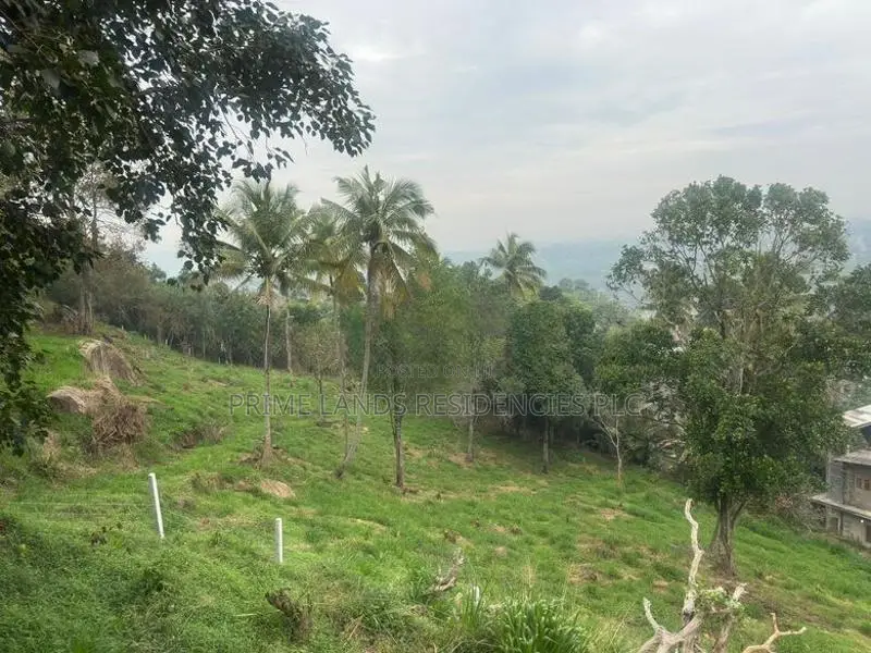 Lands for sale in Gurudeniya