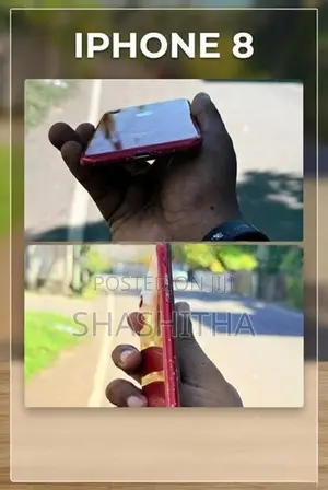 Apple iPhone 8 (Used)