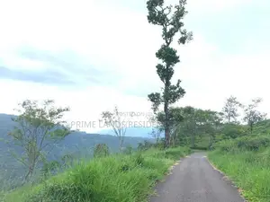 Lands for sale in Pundaluoya