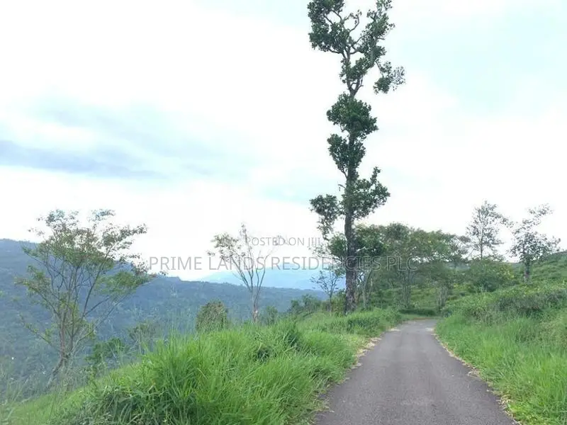 Lands for sale in Pundaluoya