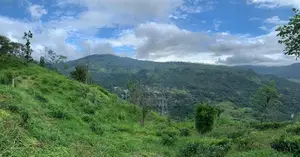 Lands for sale in Pundaluoya