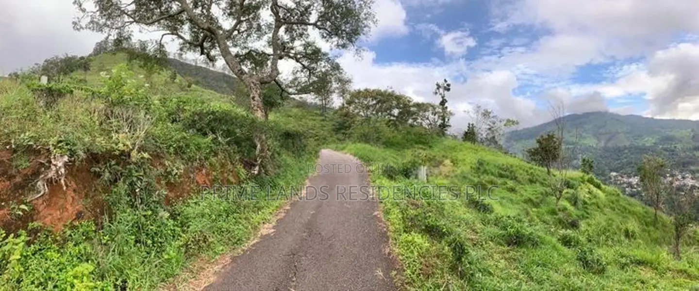 Lands for sale in Pundaluoya