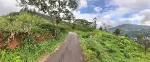 Lands for sale in Pundaluoya